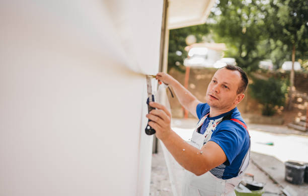 Best Wall Insulation Installation  in Madison, NE